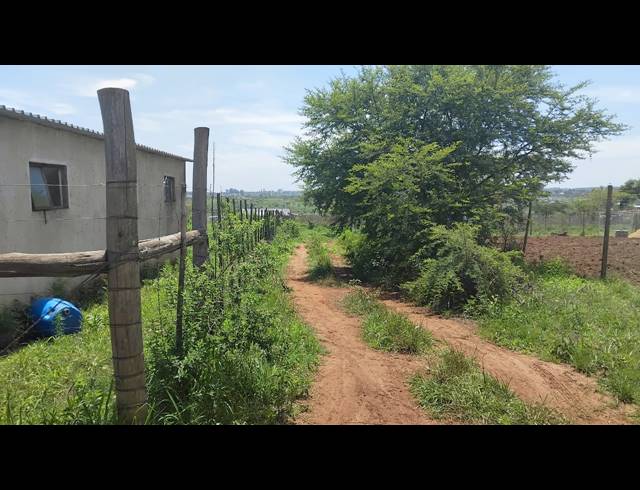 5HA FARM FOR SALE IN ELIM